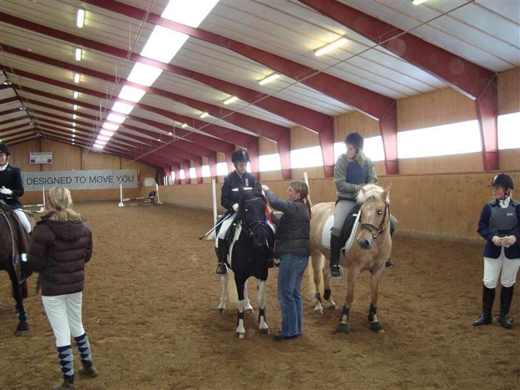 Anden særlig race Prinsesse Ibeline [tidligere part] - præmie overekelse<3 fotograf: ?;D billede 4