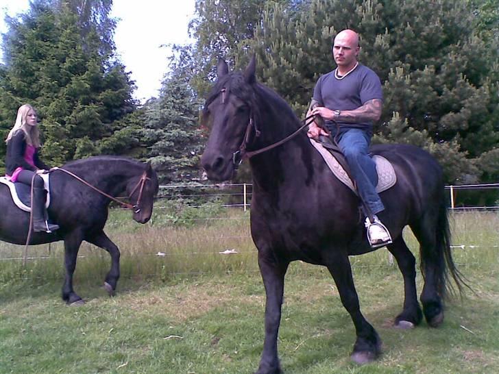 Frieser Tjetske fan de deen billede 13