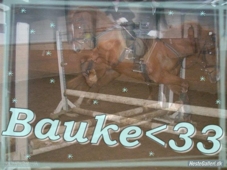 Anden særlig race Bauke <3 R.I.P  billede 20