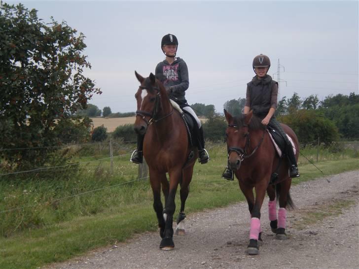 Anden særlig race Travelli solgt - Mig og Travelli til venstre, og Malou og Katja til højre<3  billede 11