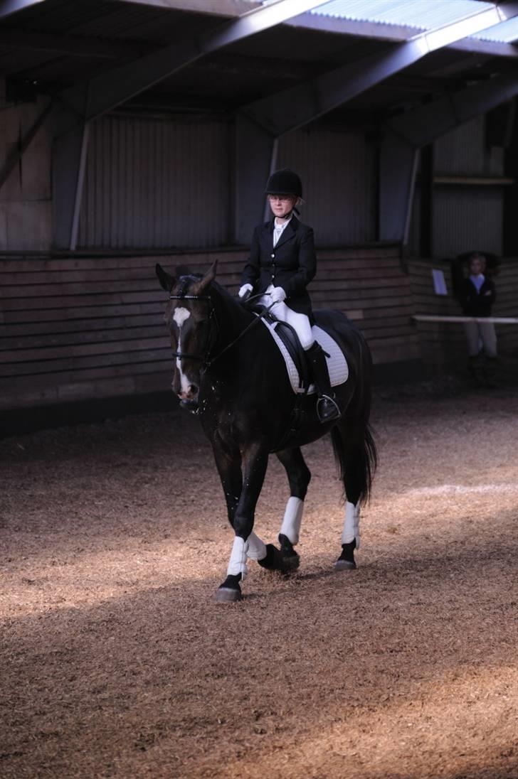 Oldenborg Markus billede 9