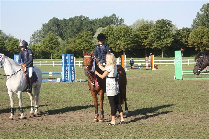 New Forest / Araber | Silas <3 - fejlfrie og en 4. plads i LC til copenhagen horse show.<3 du er perfekt putte!!! billede 17