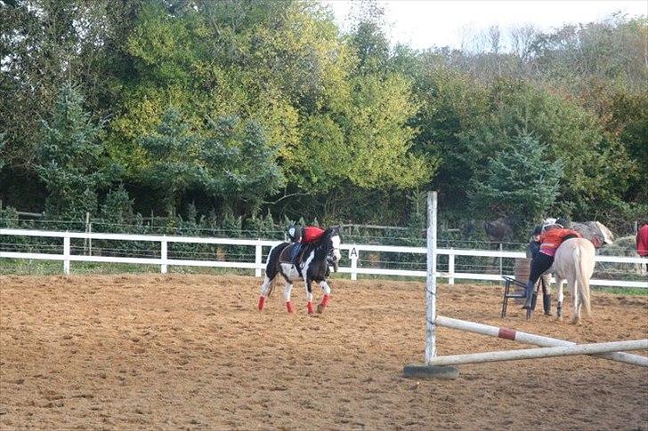 Pinto Svalegårds Alberte*tider  - på ridelejer 2010 vi var så gode til pony games, du stak ikke af da jeg hang på dig fordig jeg var på vej op men du gik lige to skridt, men vi klarede den :D billede 8