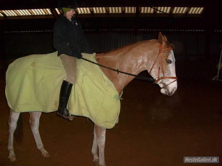 Paint Gamblers Zip Enough solgt billede 18