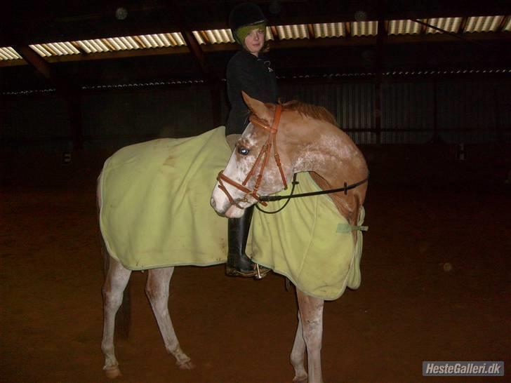 Paint Gamblers Zip Enough solgt billede 19