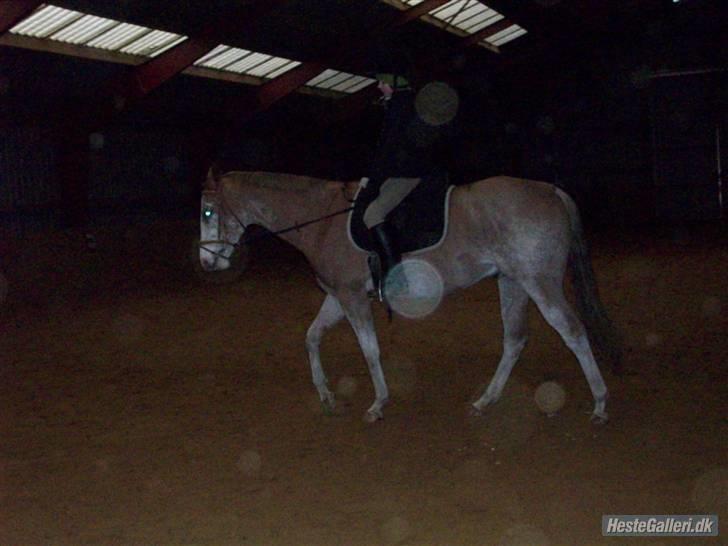 Paint Gamblers Zip Enough solgt billede 20