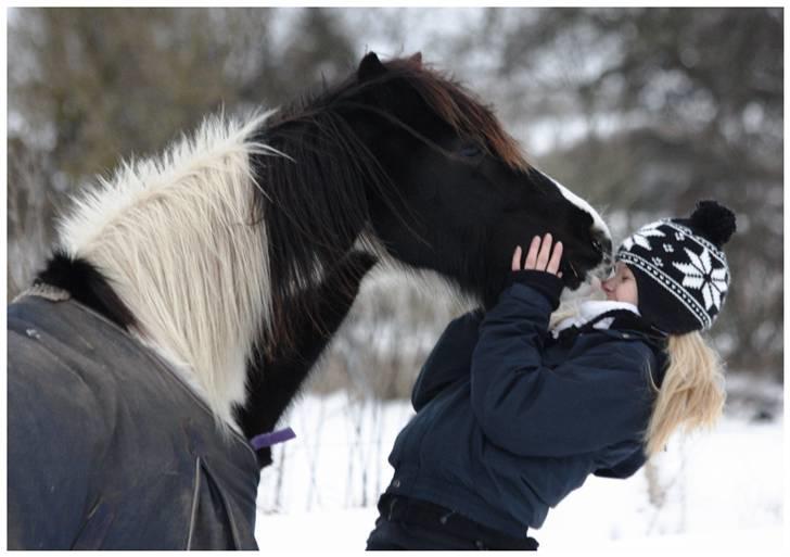 Irish Cob | Rain |  - vinter 09/10 billede 14