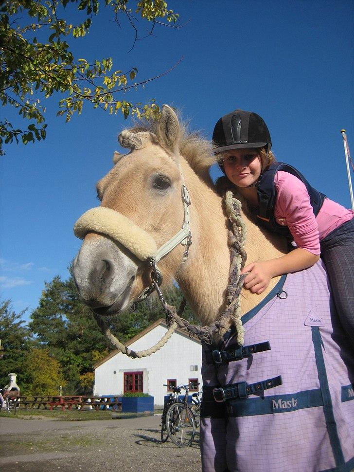 Fjordhest Toftegaardens Maja :)  - Smukke os :D <3 billede 15