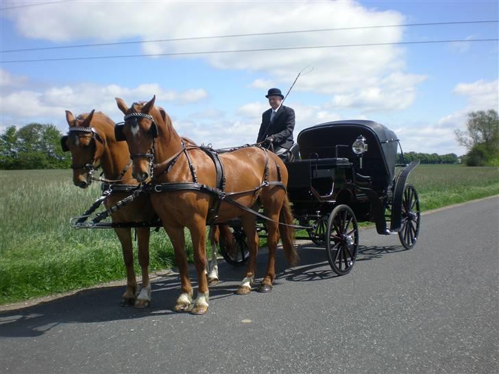 Frederiksborg Caletto Albæk - kørsel til bryllup billede 18