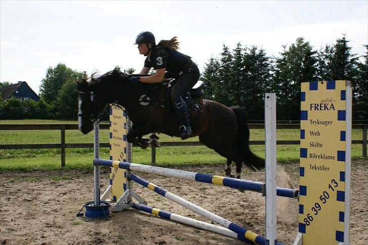 Irsk Sportspony MB Lady Star - RIP  - Kan du sige WoW xD (Den pony kan sq springe) billede 3