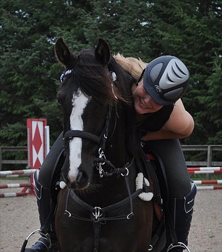 Irsk Sportspony MB Lady Star - RIP  - jeg elsker dig<3 billede 5