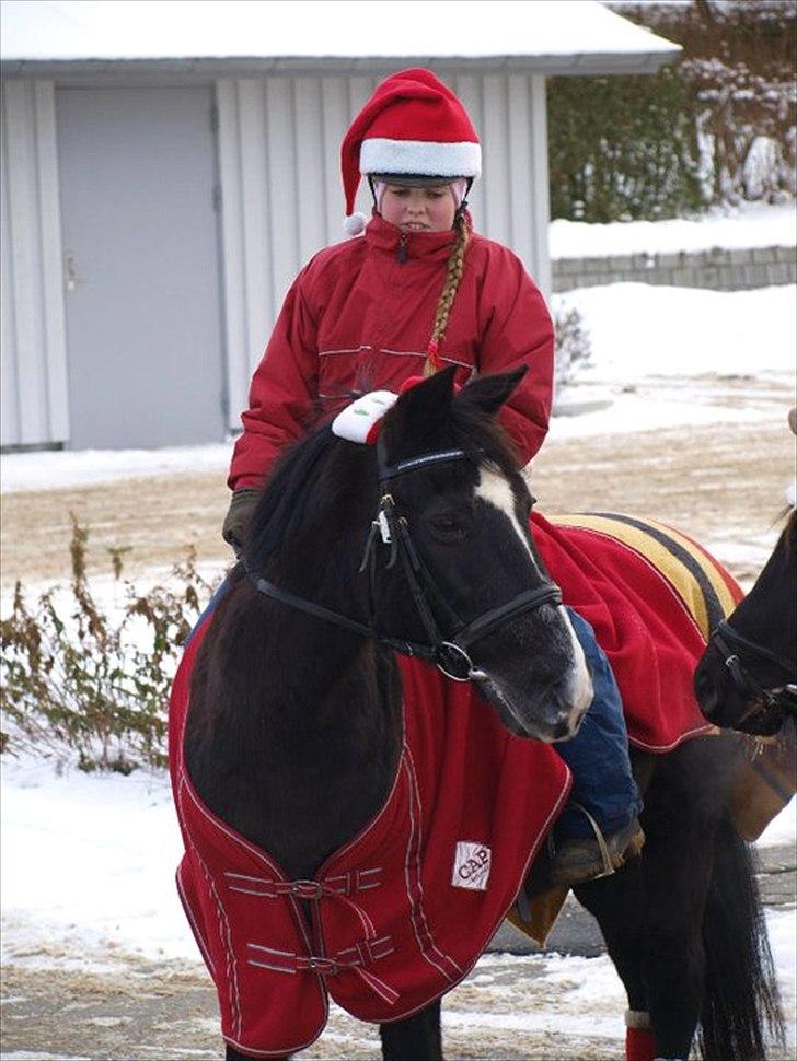 Anden særlig race Sila - Taget af Signe 
 billede 15