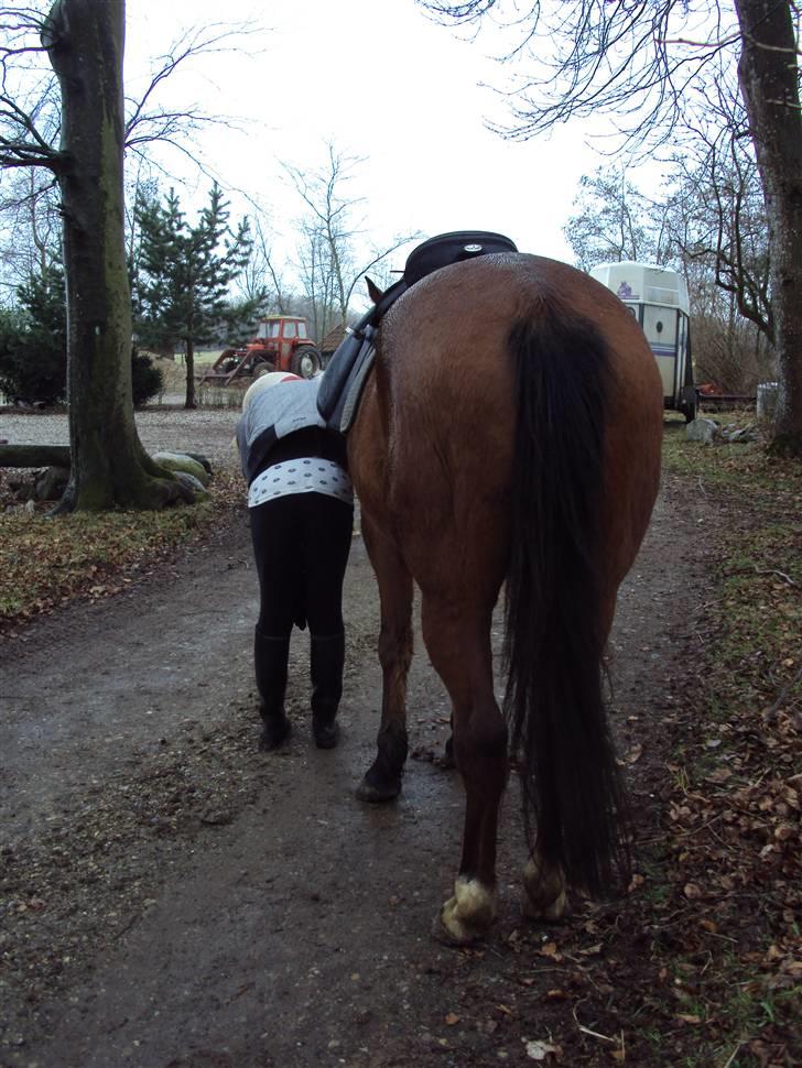 Traver •*¨*•¸Surprise star¸•*¨*• - 20. Fordi Når enden er go´ er ALTING godt... billede 18