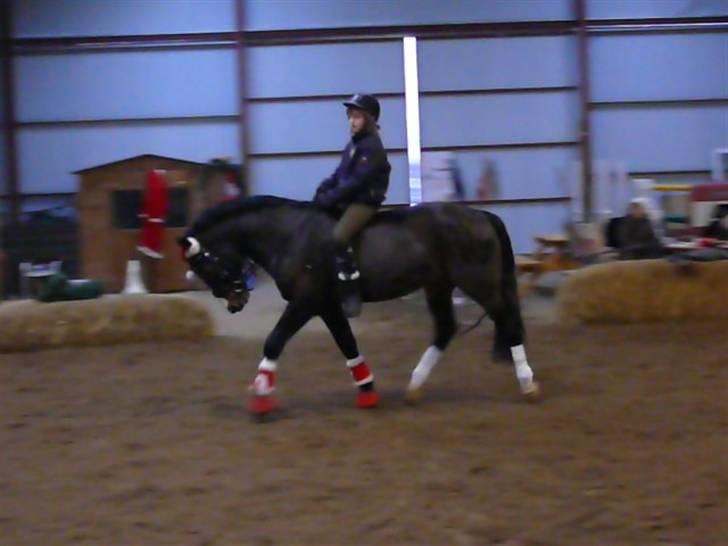 Anden særlig race Bruno Bamsen. (y) - så meget har du lært på så lidt tid :* billede 15