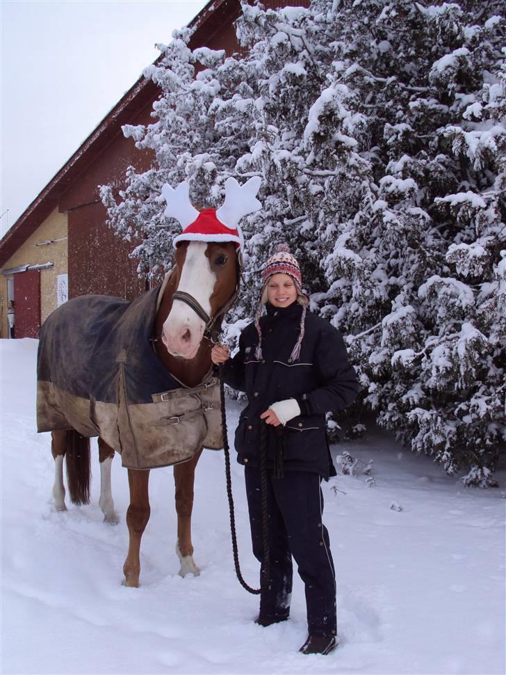 Dansk Varmblod -*Samuraj*- - 19)Samuraj og jeg i sneen: Foto anja billede 19