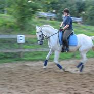 Sportsaraber (A) Filip