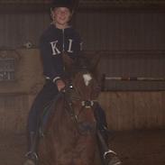 DSP  Bæklunds Malacca