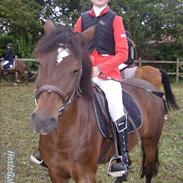 DSP  Bæklunds Malacca