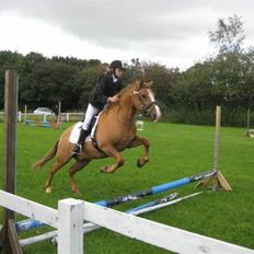 Anden særlig race Cavaliére Cadeau:)