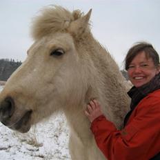 Islænder Gloa fra Bjørnhøj