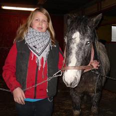 Anden særlig race Salt&Peber.. SOLGT 