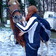 Pinto Freja < 33 Solgt :(