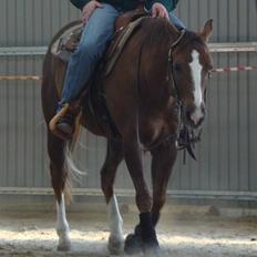 Quarter Oaki Docy Dime