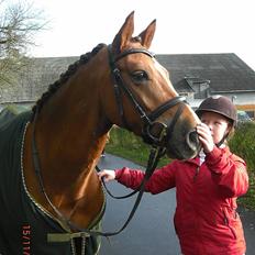 New Forest Stegstedgårds Top Marster