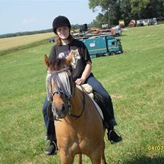 Anden særlig race Pax