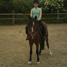 Anden særlig race Basil