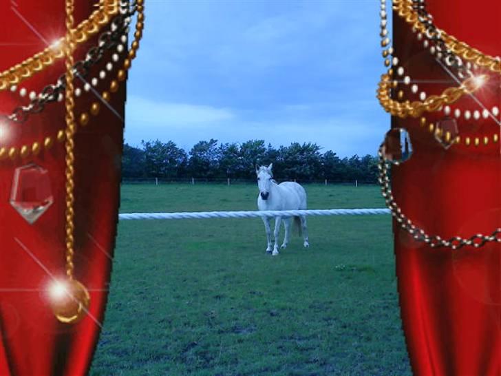 Anden særlig race frøken mille billede 3