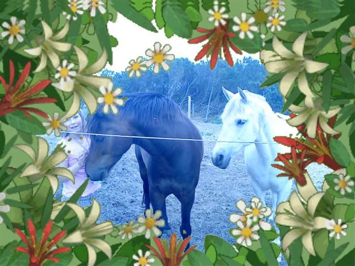 Anden særlig race frøken mille - hvad så baby billede 10