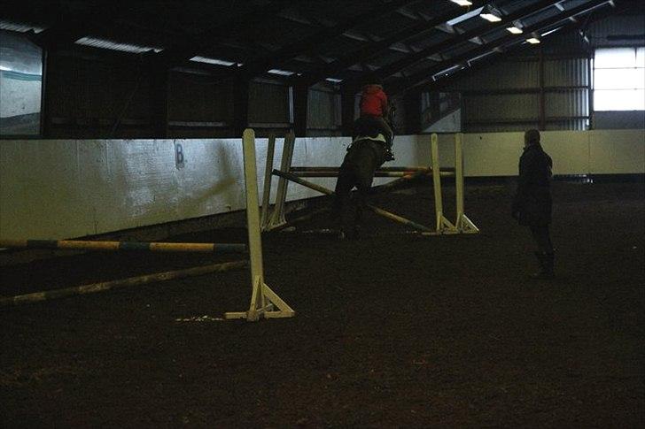 Anden særlig race Diablo - Diablo og jeg til højdespring december 2010, her over en trippelbar på 120 cm! På et halvt år er vi gået fra stop og spring på 30 cm. til ingen stop og en trippelbar på 120 cm :) Jeg er SÅ stolt af ham! [Foto: Maria] billede 11