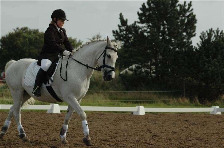 Anden særlig race frøken mille - det gik rigtig godt til stævne i aalbæk jeg vandt en 2 plads og mille var super skøn i love you mille billede 11