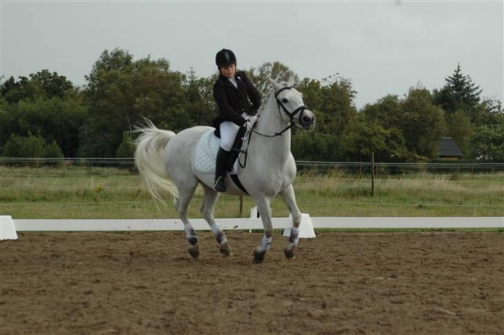 Anden særlig race frøken mille billede 13