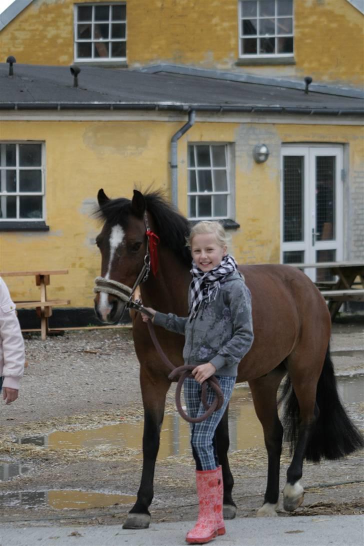 Anden særlig race Lauritz - <3Love you Lauritz<3 billede 4