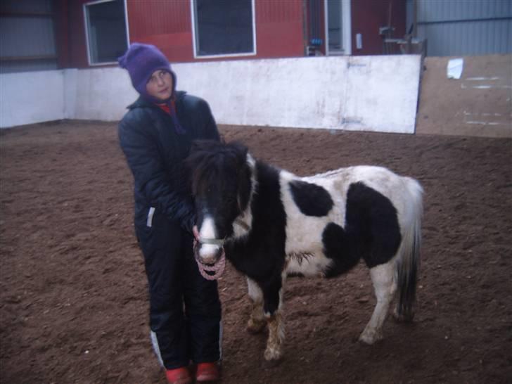 Shetlænder domino - jeg er meget glad for børn billede 4