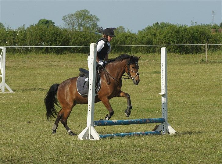 Anden særlig race Stjerne - Stævne LF første springstæve for min lillesøster :* den 21 maj 2011 billede 8