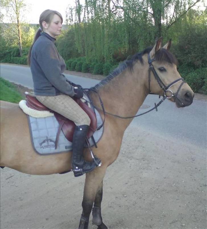 Anden særlig race Stjerne - hahaha, hængepatter? :D  billede 17