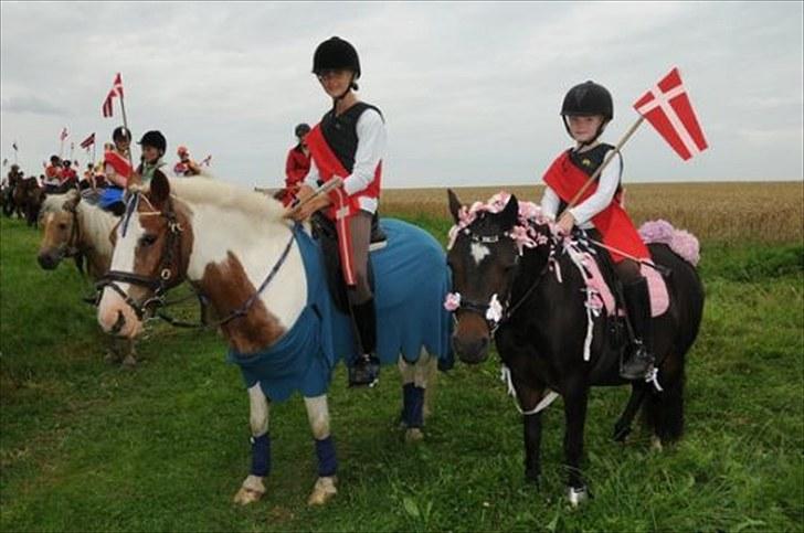 Anden særlig race Mr. Mulle<3 - Solgt :( - Prinsen og prinsessen - Mulle og Belle q: Ringridning i smidstrup <3 (Fotograf: Smidstrup byfest) billede 20