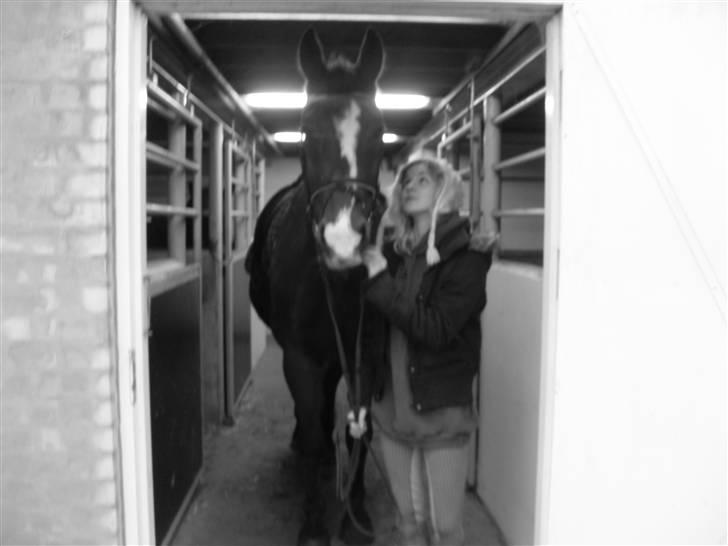 Oldenborg Sebastian - Basse billede 2