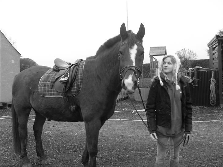 Oldenborg Sebastian - Basse billede 3