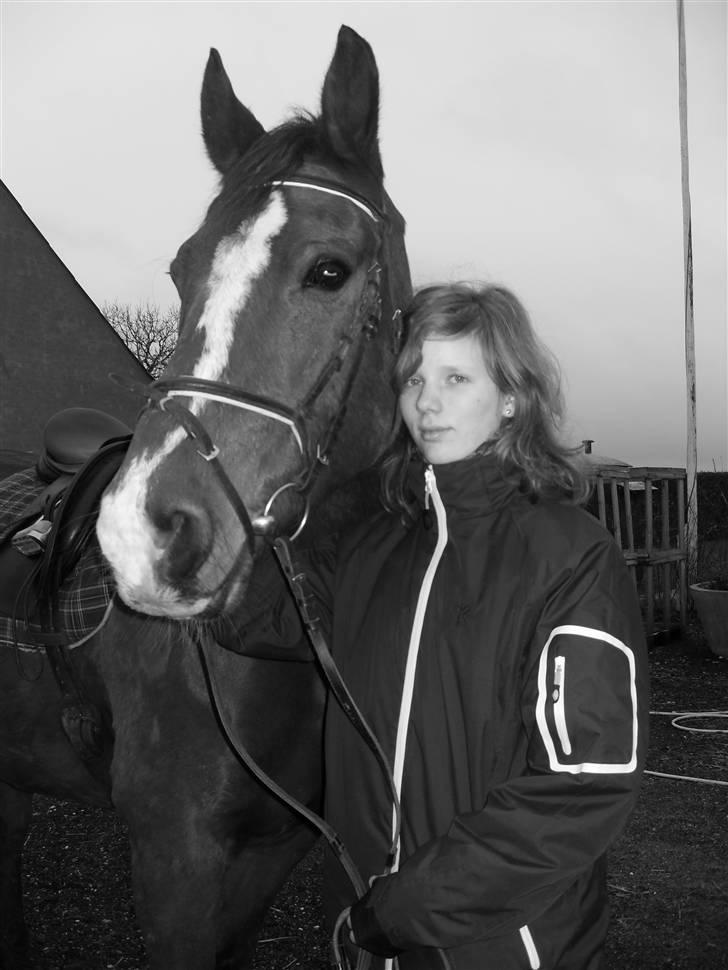 Oldenborg Sebastian - Basse billede 4