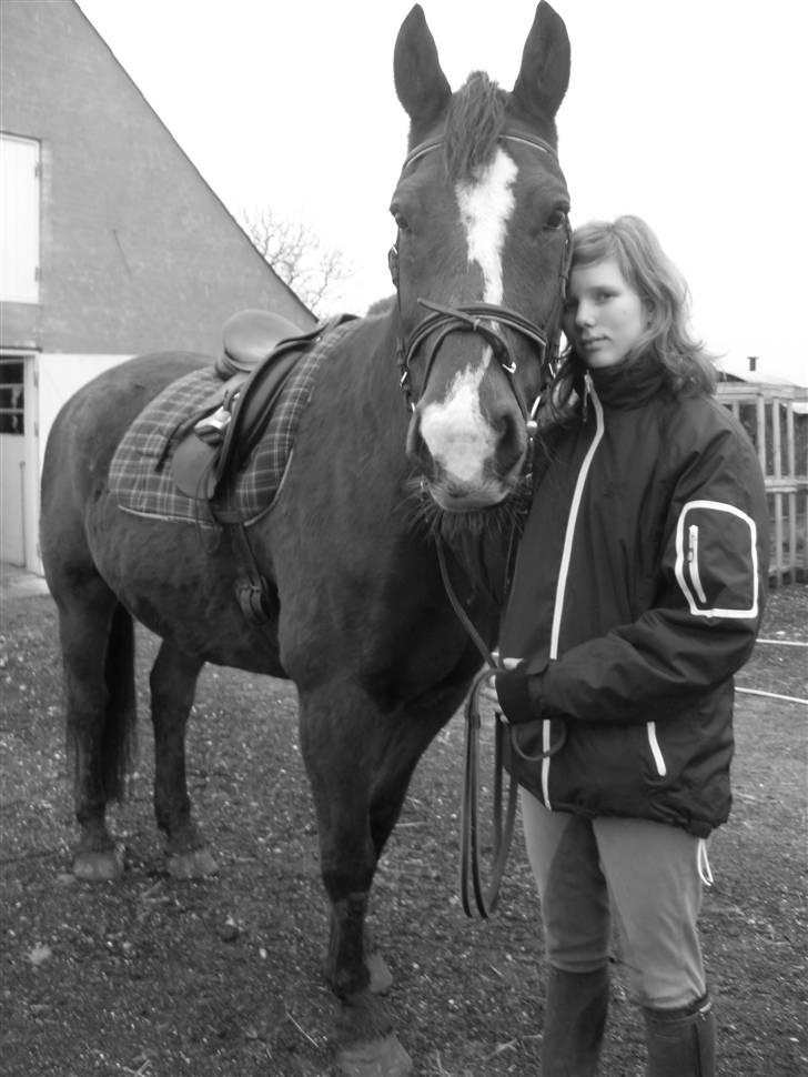 Oldenborg Sebastian - Basse billede 5