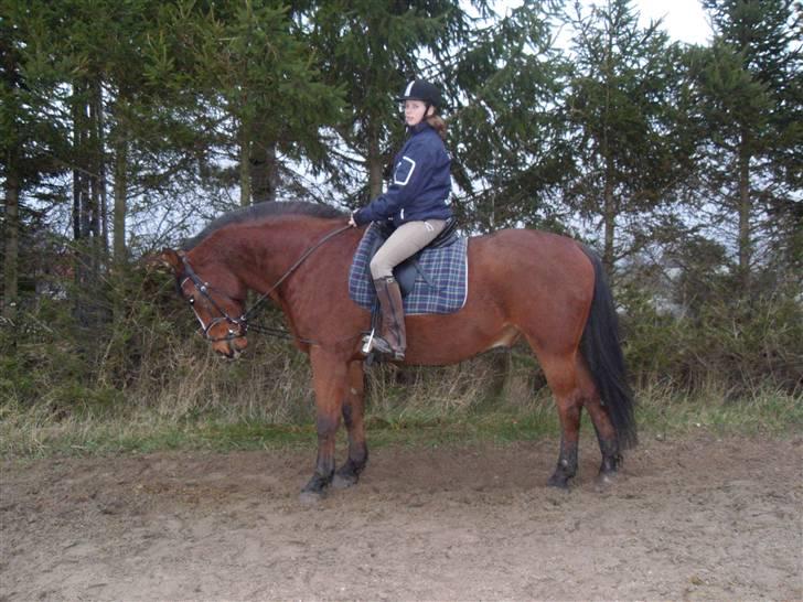 Oldenborg Sebastian - Basse billede 6