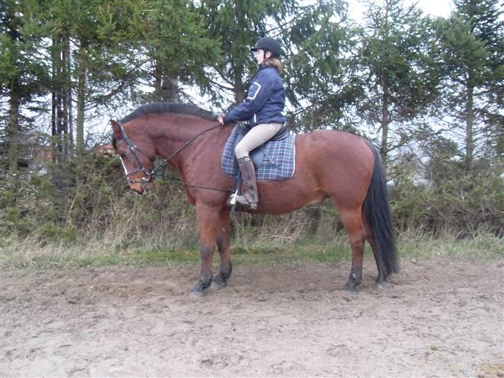 Oldenborg Sebastian - Basse billede 7