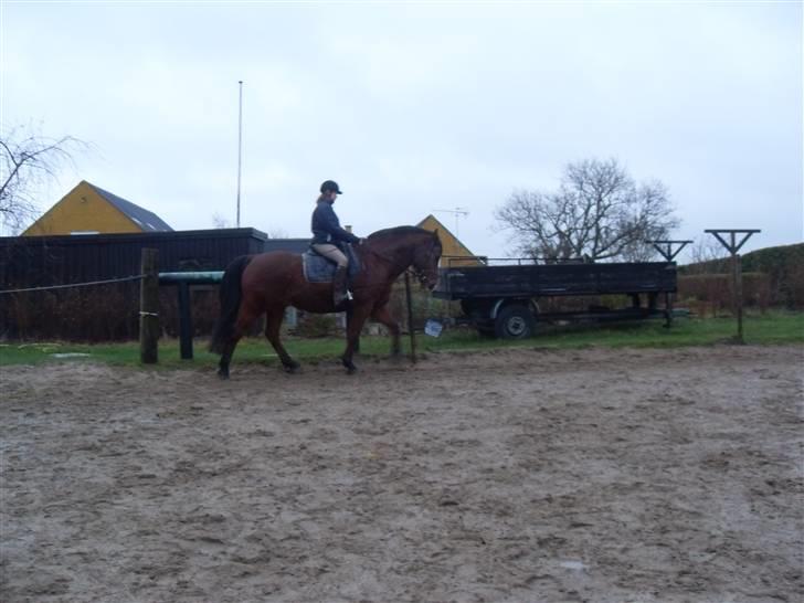 Oldenborg Sebastian - Basse billede 8