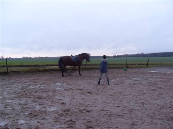 Oldenborg Sebastian - Basse - kvaliteten er ikke så god billede 10