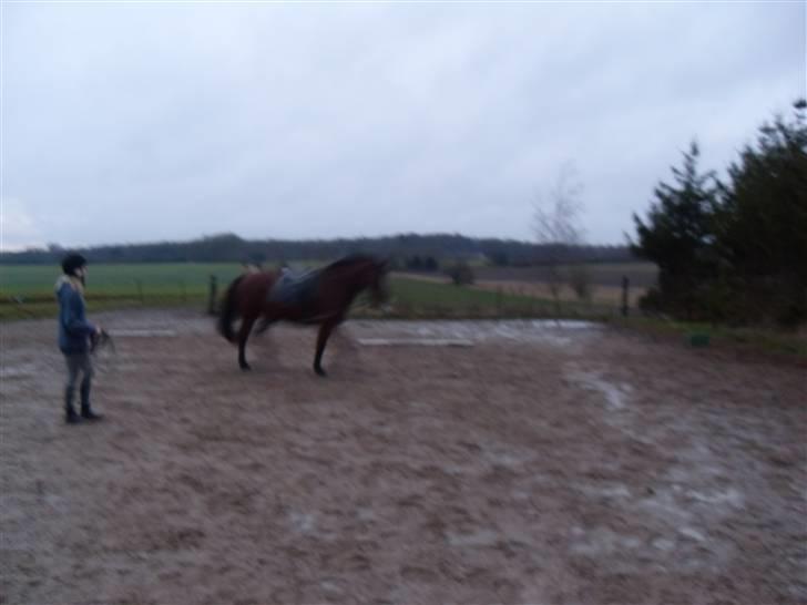 Oldenborg Sebastian - Basse - kvaliteten er ikke så god billede 11