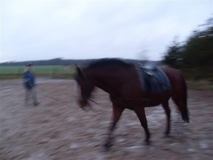Oldenborg Sebastian - Basse - kvaliteten er ikke så god billede 12